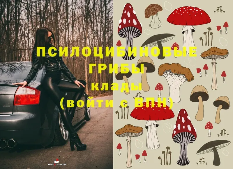 Галлюциногенные грибы MAGIC MUSHROOMS  Дубна 